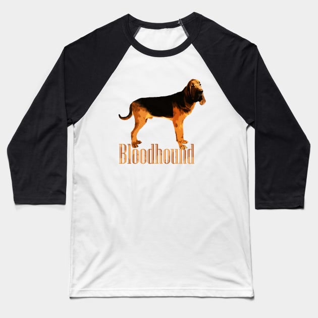 Bloodhound Baseball T-Shirt by Nartissima